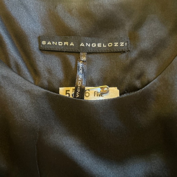 Femme De Carriere/Sandra Angelozzi Sheer Silk Tunic, size 34 - Picture 2 of 4